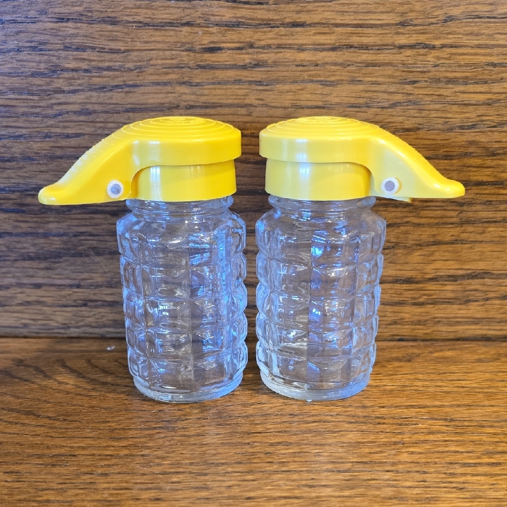 Salt & Pepper Shaker Set Retro Design with Moisture Proof Lids